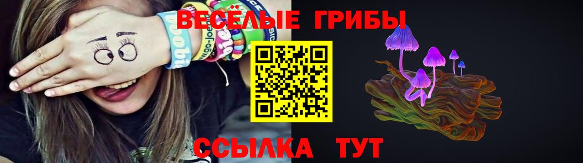 Галлюциногенные грибы MAGIC MUSHROOMS  Вход с VPN  Ачинск 